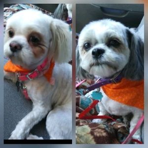 Meet your Posher, Melinda